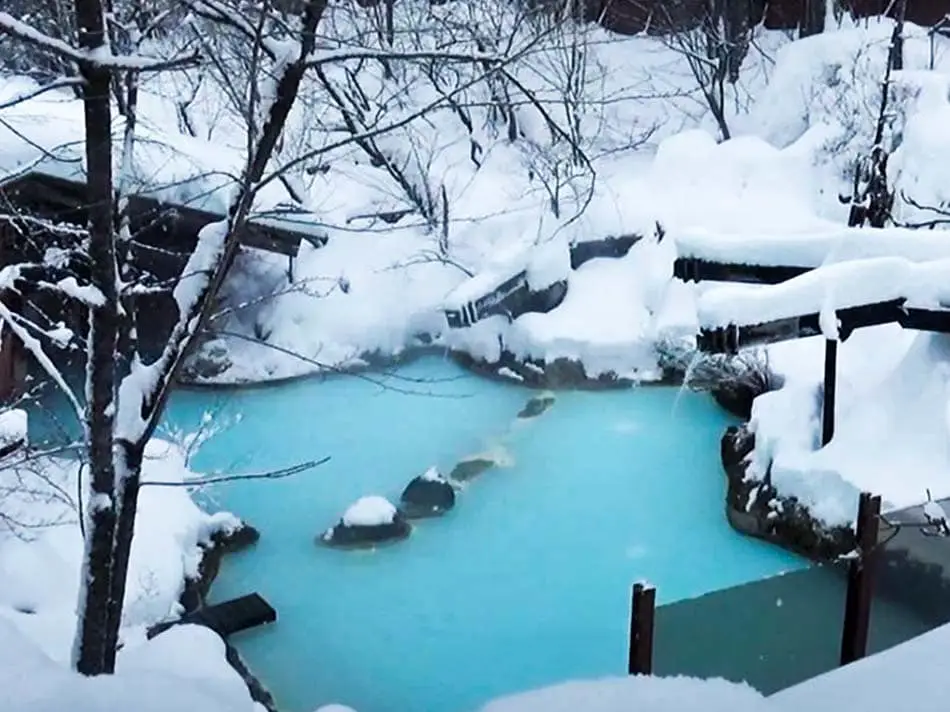 Awanoyu Ryokan (Nagano) - Best Mixed Gender Onsen