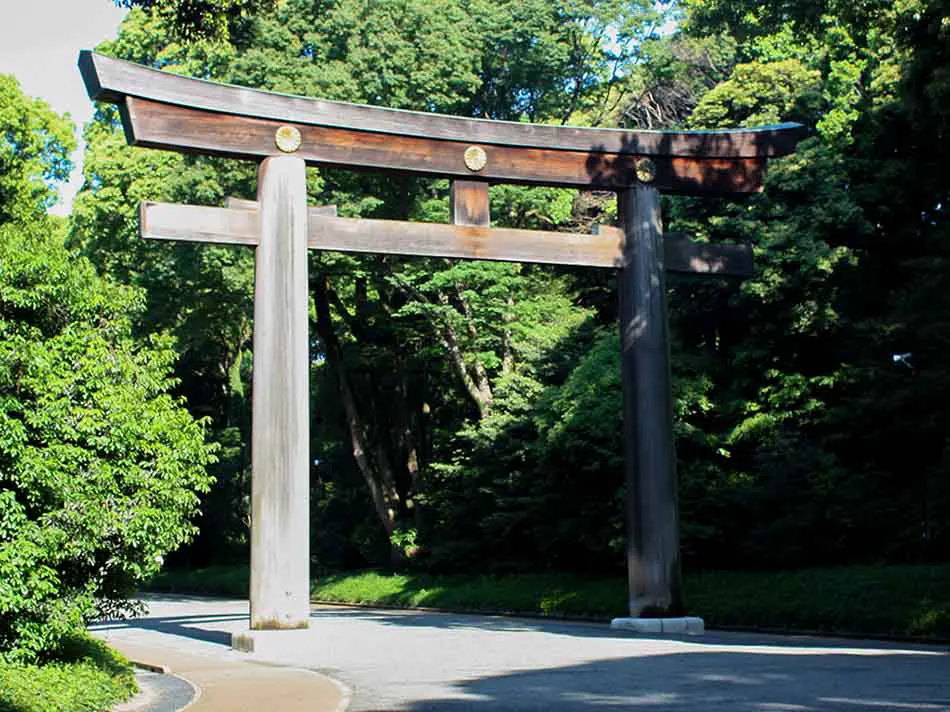 Japan's Largest Wooden Myojin Torii Gate - Things to See Meiji Jingu