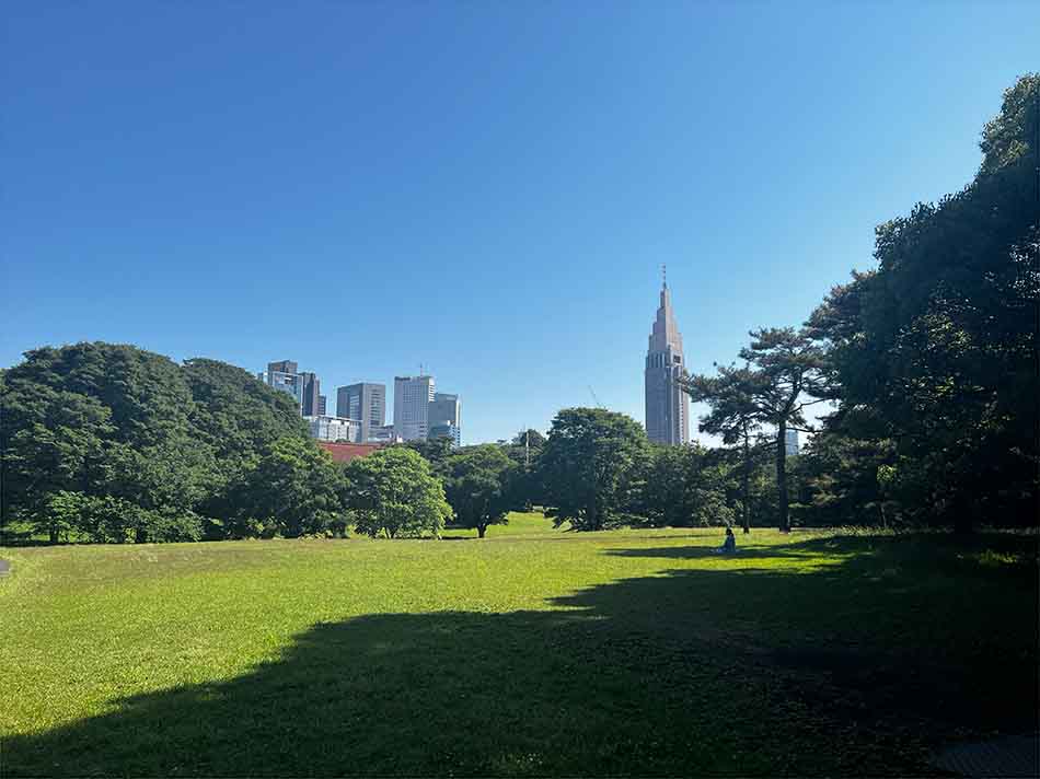 Shibafu Park & Lawn - Meiji Jingu Shinjuku Skyscrapers